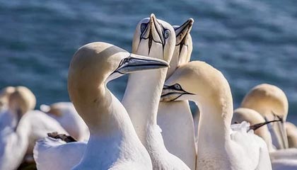 九游体育下载：让你随时随地掌控比赛的全新体育入口