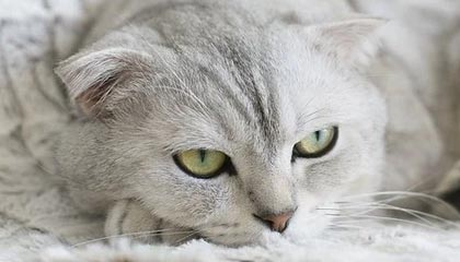 九游体育下载app——让运动激情随时点燃