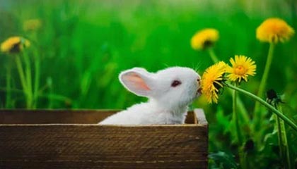 pg模拟器试玩入口-赵继伟重返中国男篮